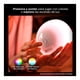 thumbnail image 4 of Luminario de mesa WCA Philips Hue Hue Go, 4 of 4