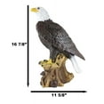 thumbnail image 4 of Ebros Gift American Pride National Emblem Bald Eagle Statue 16.5" H Figurine, 4 of 9
