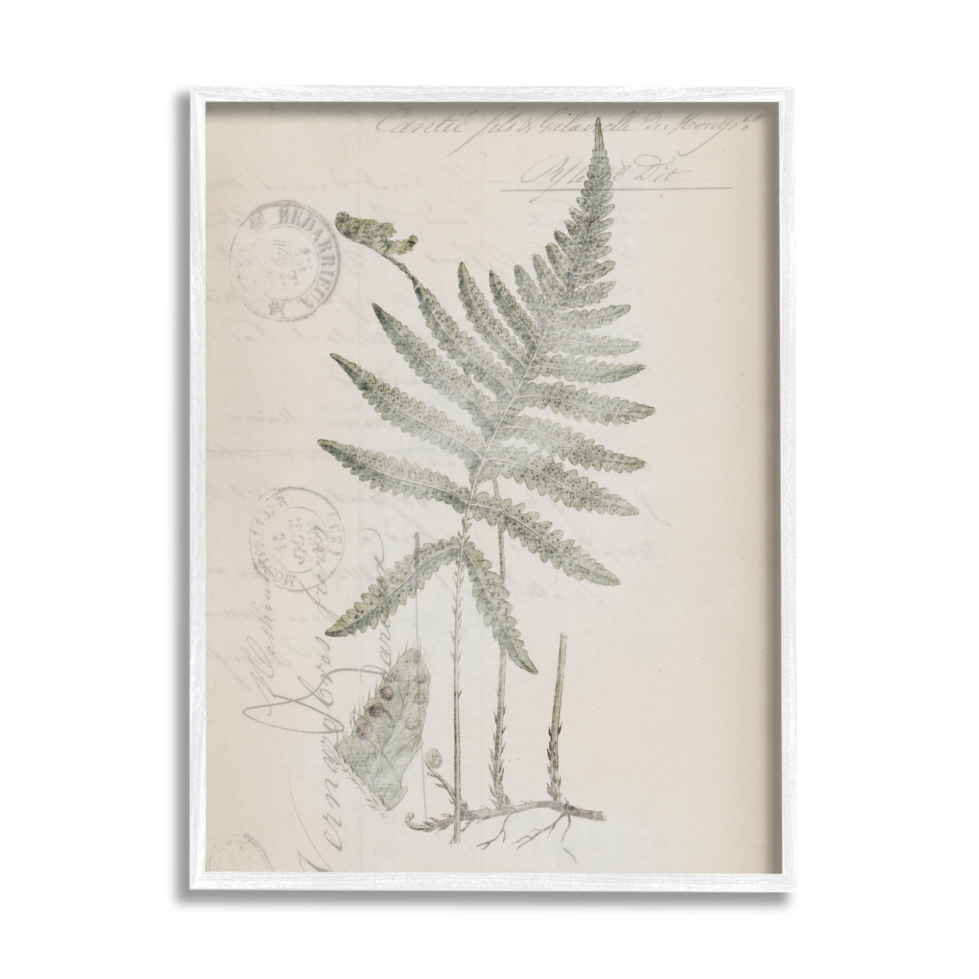 Stupell Industries Vintage Post Card Fern Leaf Botanical & Floral Drawing White Framed Art Print Wall Art