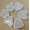 6pcs, variant on Kitchen Accessories Sushi Mould Triangle Mould Sushi Machine Mould Sushi Tool Onigiri Rice Ball Bento Machinenori