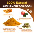 Pumpkin for Dogs Pumpkin Powder for Dogs Digestive Support Natural
