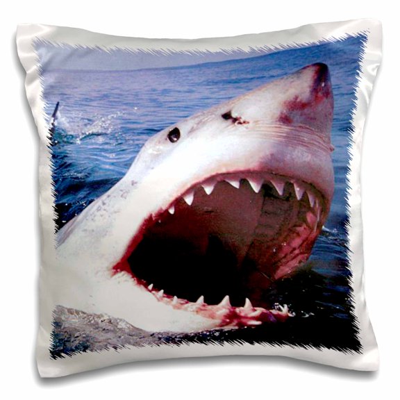 3drose, Great White, 16x16 inch Pillow Case