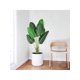 thumbnail image 1 of Artificial bird of paradise plant: tropical artificial tree ideal para para indoor y oficina decoration, 1 of 10