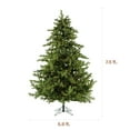 thumbnail image 3 of Fraser Hill Farm 7.5-Ft. Foxtail Pine Christmas Tree with White Incandescent Smart Lights, FFFX075-3GR, 3 of 23