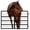 48" W x 31.9" H, variant on Horse Stall Guard featuring Yoke Design, Horse Stall Gate boasting Heavy-Duty Thick Steel Frame, Horse Stall Door showcasing 52" W x 42" H, Fits Standard Barn Doorways