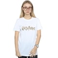 thumbnail image 2 of Harry Potter Womens Full Colour Logo Cotton Boyfriend T-Shirt, 2 of 3