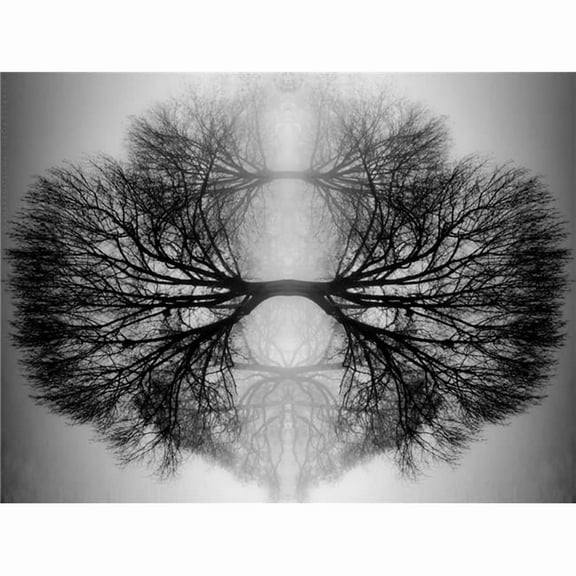 Artful Printers C-16202059 Reflections Photography Canvas Art, 16 x 20 in.