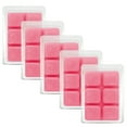 thumbnail image 2 of Pretty Please Scented Wax Melts, Scentsationals, 2.5oz (5-Pack), 2 of 6