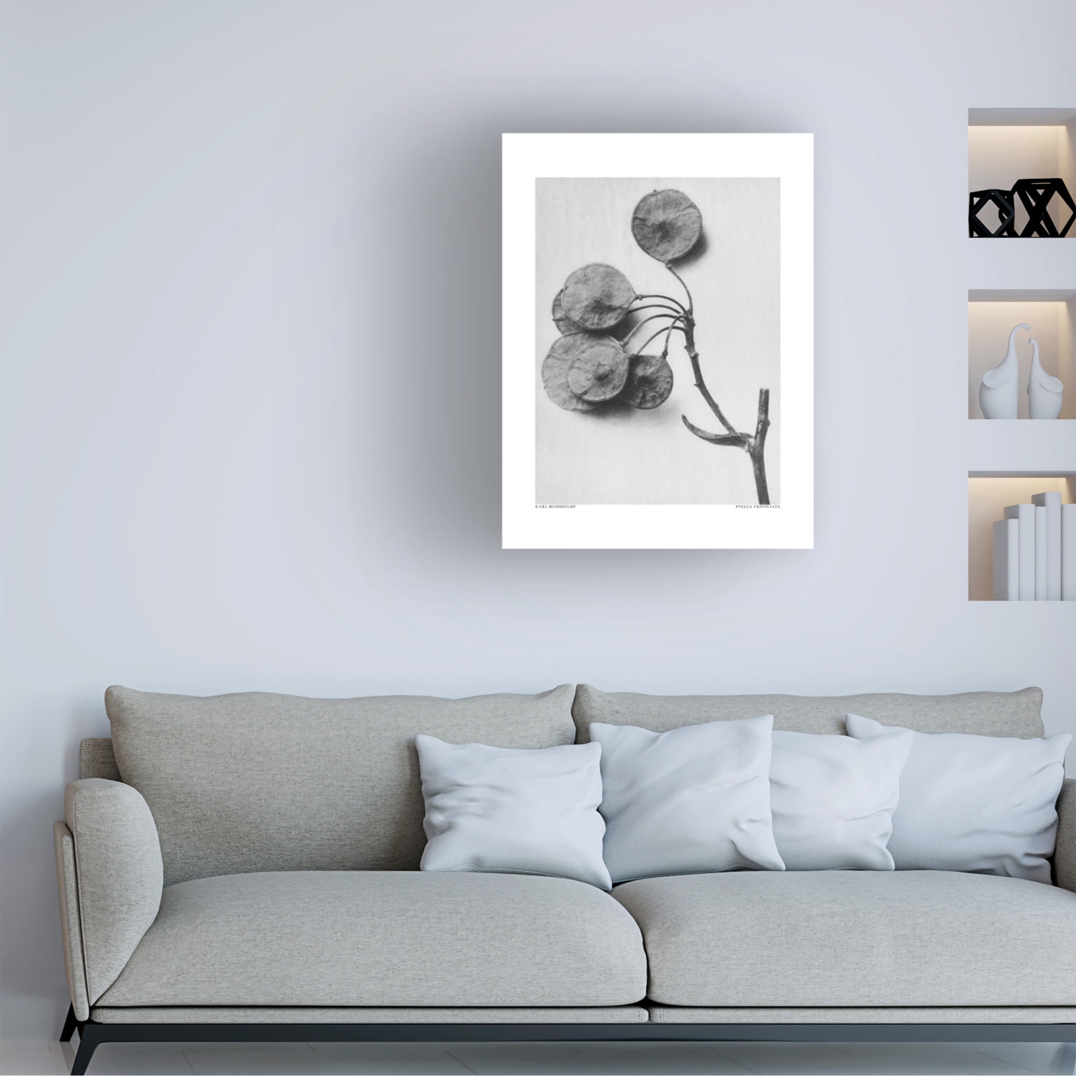 Trademark Fine Art Pictufy Ptelea Trifoliata Canvas Wall Art