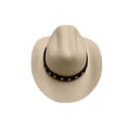 thumbnail image 3 of Pet Cowboy Hat Adjustable Cowboy Hat for Small Dogs and Cats Pet Party Decoration, 3 of 5