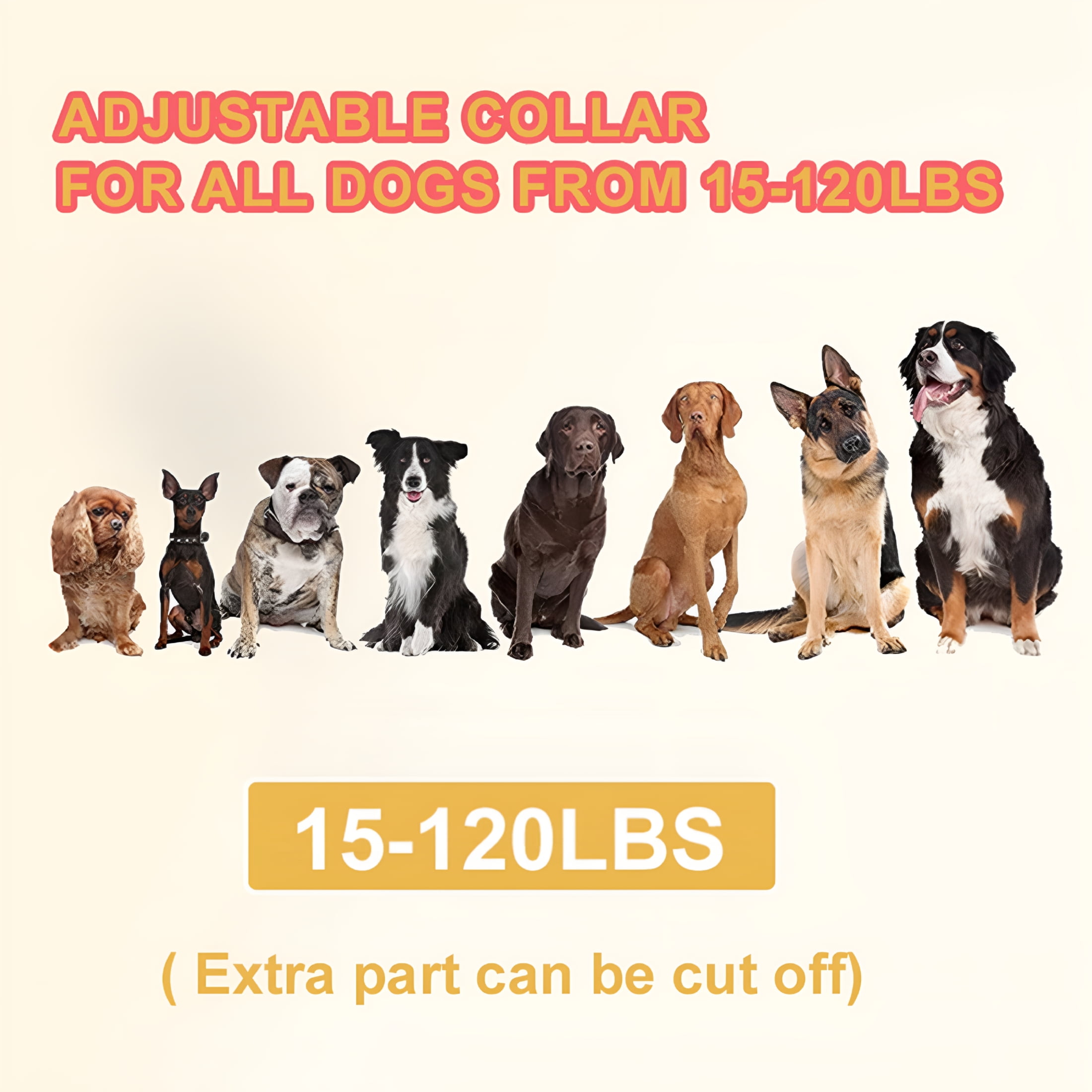 HBMYN Wireless Electronic Pet Fence 2-In-1 for Dogs Trainer Waterproof Up to 800 Ft