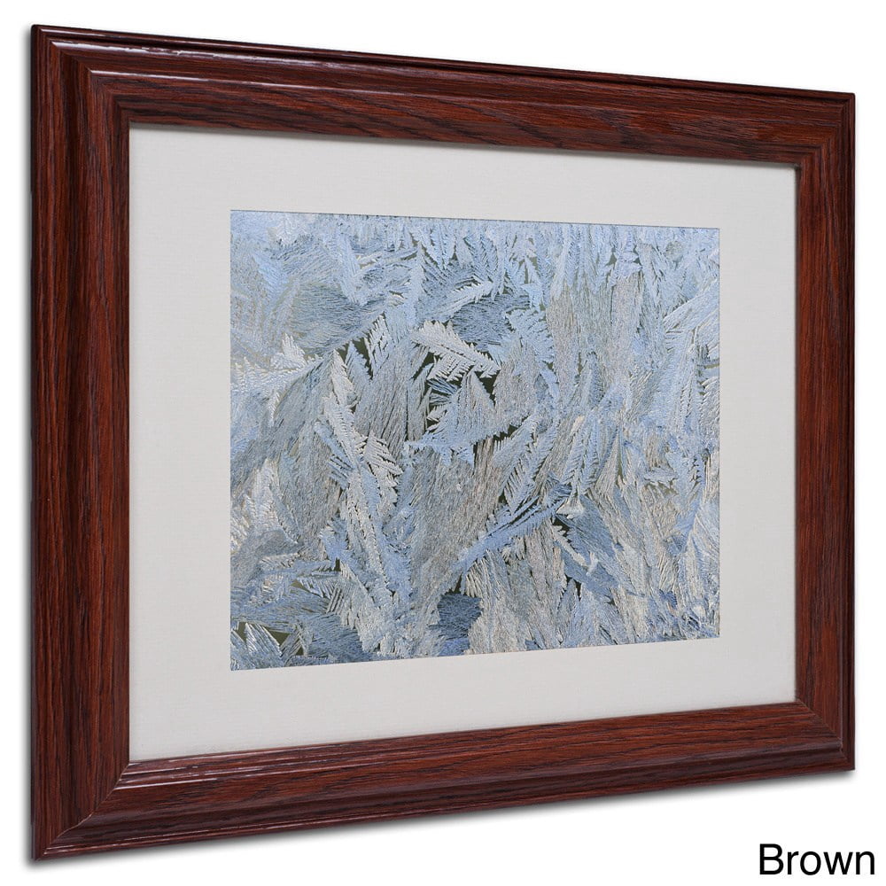 Trademark Fine Art "Frost Pattern #6" by Kurt Shaffer, Black Frame