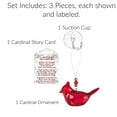 thumbnail image 3 of Memorial Cardinal Ornament Gift Red Bird Hanging Crystal Window Decor, Story Card and Suction Cup, Sign of a Visitor from Heaven (Cardinal Of Comfort), 3 of 5