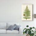 thumbnail image 3 of Trademark Fine Art 'Garden Ferns V' Canvas Art by Vision Studio, 3 of 4