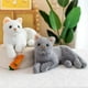 thumbnail image 4 of Peluche XIGUI de 30 cm de simulación de gato blanco puro para niños, 4 of 4