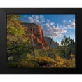 thumbnail image 2 of Fitzharris, Tim 18x15 Black Modern Framed Museum Art Print Titled - Coconino National Forest near Sedona-Arizona-USA, 2 of 5
