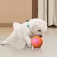 thumbnail image 2 of Interactive Teasing Ball for Small to Medium Sized Dogs Outdoor Sports Toy, 2 of 8
