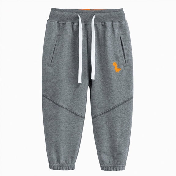 18-24 Months Toddler Boys Pants Fleece Lined Thick Straight Leg Elastic Waist Cozy Sweatpants with Side Pockets Fall Winter Casual Wear for Boys 12 18 Months 2T 3T 4T 5T 6T,Dark Gray