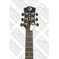 thumbnail image 4 of Luna Gypsy Zebrawood w/ Preamp, 4 of 10