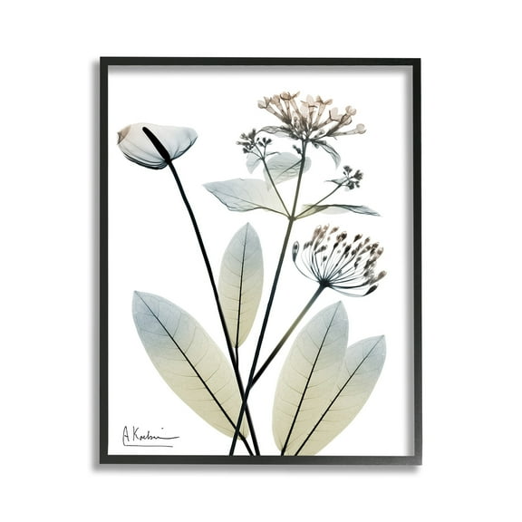 Stupell Industries Contemporary Flower Shapes Botanical & Floral Photography Black Framed Art Print Wall Art, 11 x 14