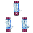 thumbnail image 1 of Filtro eléctrico de agua 420ML Lonizer Maker portátil electrodomésticos Rose Red Red, 1 of 2