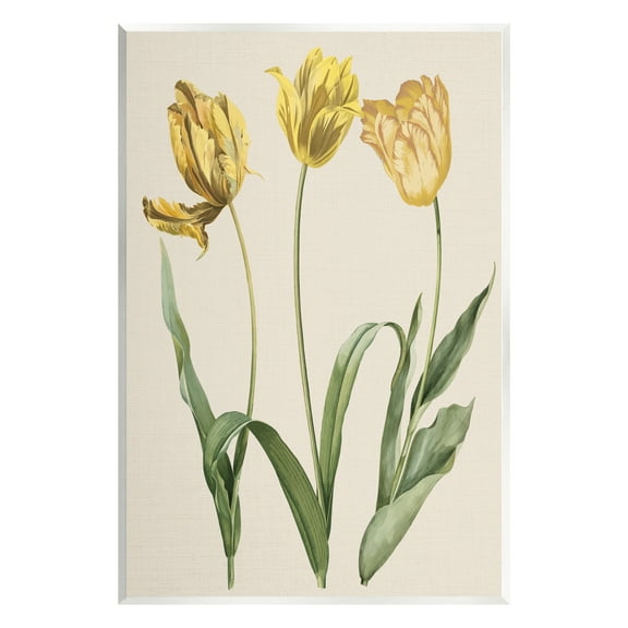 Stupell Industries Three Tulip Sprigs Botanical & Floral Painting Unframed Art Print Wall Art, 10 x 15