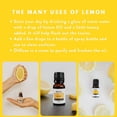 thumbnail image 4 of Aceite esencial Revive Lemon, 120 ml, 100% puro, grado terapéutico, 4 of 5