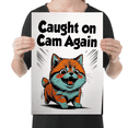 thumbnail image 2 of Caught on Cam Again - Pet Lover - 13x19 Glossy Poster Print, 2 of 4