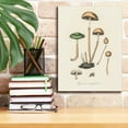 thumbnail image 6 of Epic Graffiti 'Agaricus Semiglobatus'  by Art Licensing Studio Canvas Wall Art, 12" x 16", 6 of 8