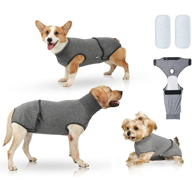 Combinaison de Récupération pour Chien Chat après Chirurgie Cône Col en E, Cône Neutre Alternatives Plaies Abdominales Pansements Réutilisables Couches pour Chien avec 2 Pcs Couches Chiot (TP, Gris)