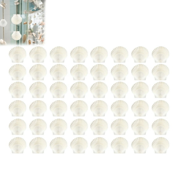 40PCS Natural Scallop 1.4 2.4inch White Small Sea For Crafts Crafting Bulk Real Seashells