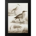 thumbnail image 2 of Unknown 17x24 Black Modern Framed Museum Art Print Titled - Sepia Water Birds IV, 2 of 5