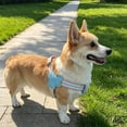 thumbnail image 5 of Adjustable Dog Harness Summer Mesh Breathable Pet Vest Soft No-Pull Comfortable Step-In Harness for Small Medium Dogs Cats Walking Training Camping, 5 of 5