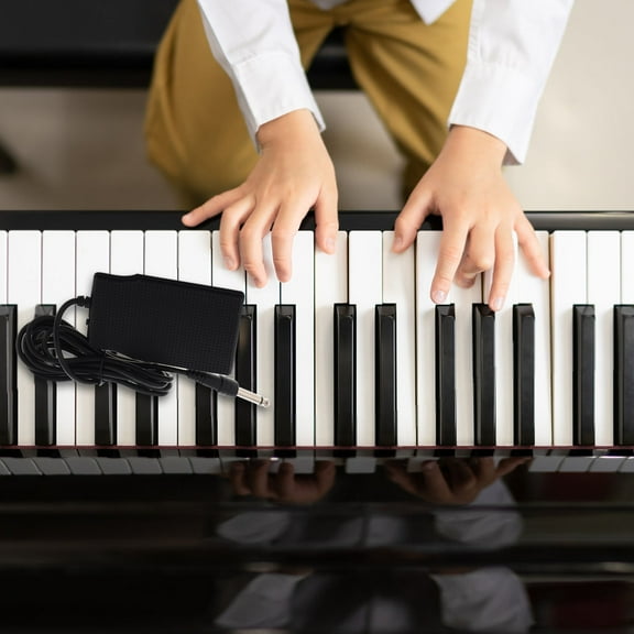 GOOHOCHY  Universal Sustain Pedal Digital Keyboard Electronic