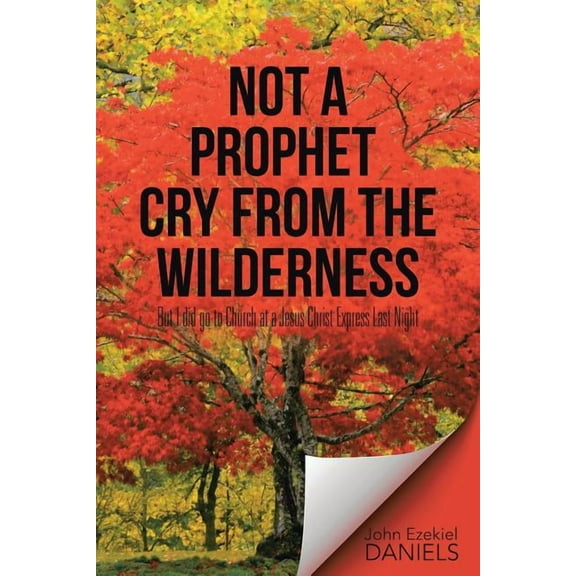 Not a Prophet Cry from the Wilderness: But I did go to Church at a Jesus Christ Express Last Night (Paperback)