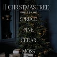 thumbnail image 2 of Set Difusor de Varillas Sweet Water Decor Aroma Árbol de Navidad, 2 of 9