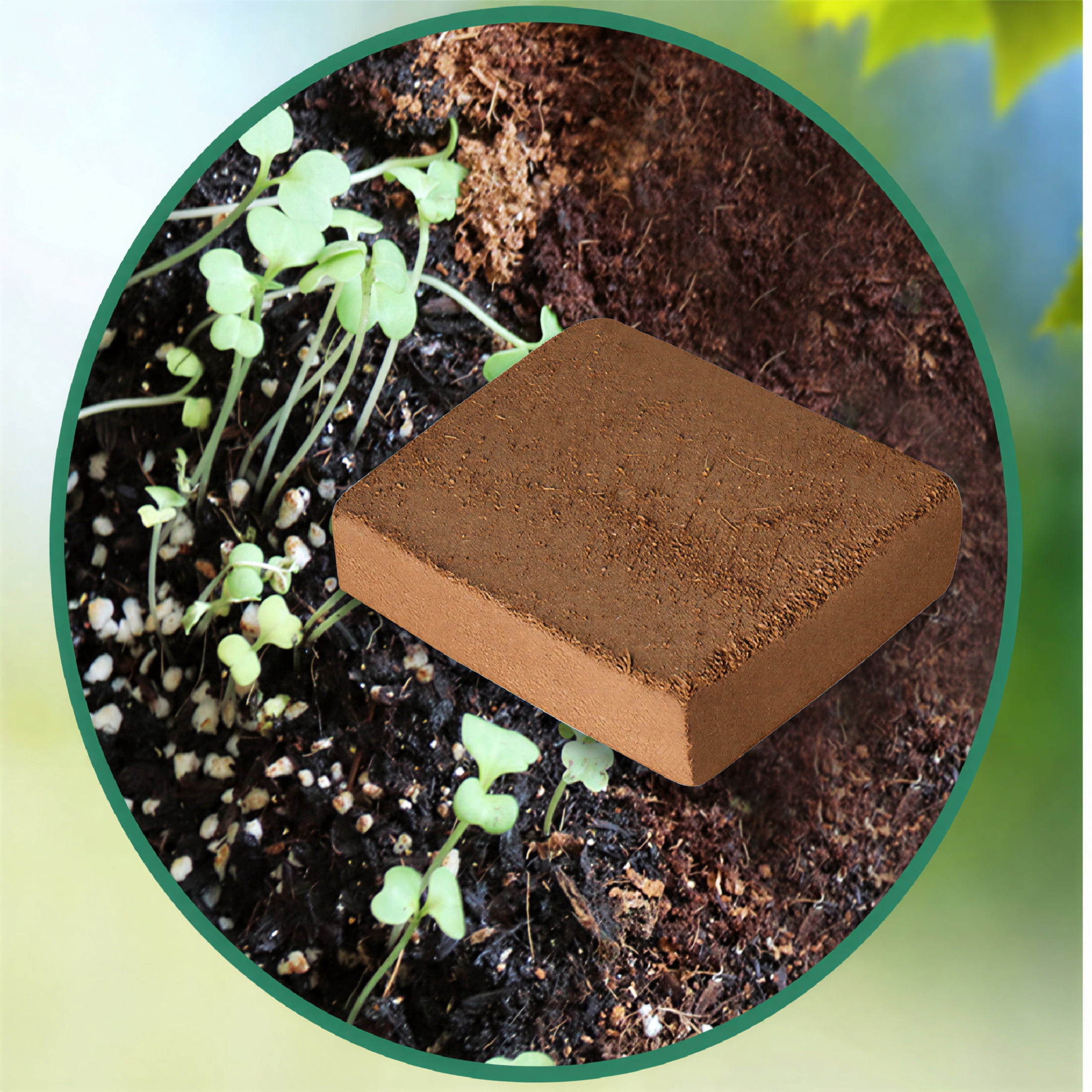 FACEGA Nutrient Bowl Lightweight and Storable Coconut Brick Design Sphagnum Moss for Plants Rich Nutrients for Seedlings and Green Plants Peat Moss