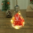 thumbnail image 5 of Christmas Bulb Lights with Flower, Transparent Christmas Ball Lights Hanging Ornaments, Battery Operated LED Lights, Glass DIY Light Bulb with Rope for Xmas Tree Thanksgiving Wedding Party Decoration, 5 of 6