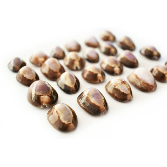 Set of 24 Purple Top Snakehead Cowrie Shells 1" Beach Crafts Coastal Decor Ocean Art - not drilled