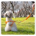 thumbnail image 3 of Cuerda de tracción para perros, bolsa de red con flores para perros pequeños, transpirable, de verano, para perros pequeños, bonito bichón, osito de peluche, correa para el hombro a prueba de explosio, 3 of 5