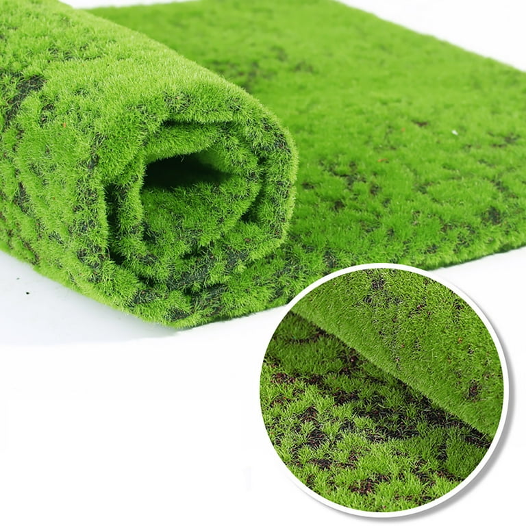 Pjtewawe Carpet Bryophyte Wall Shop Window Landscaping False Moss