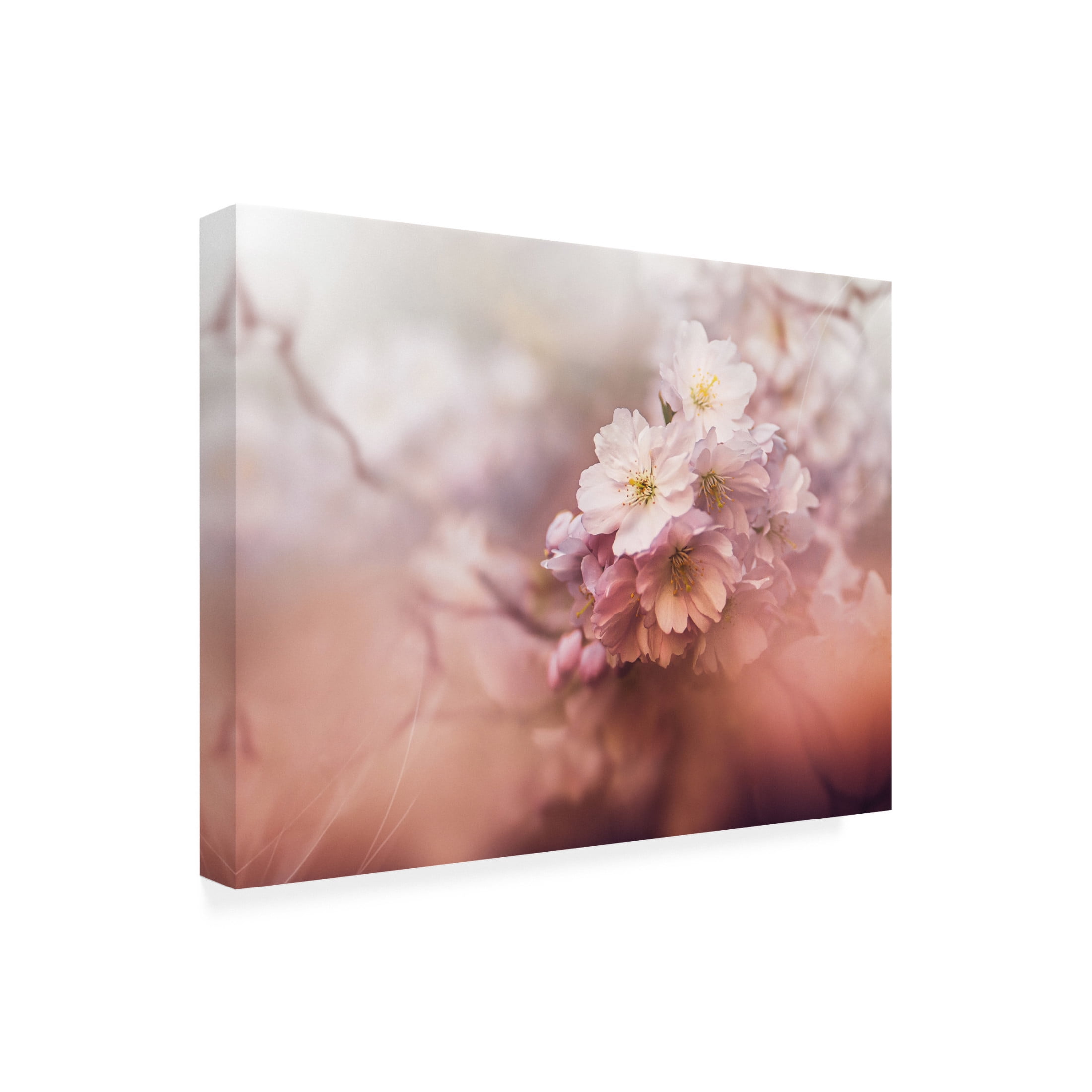 Trademark Fine Art Kristina Zvinakeviciute Sakura Canvas Wall Art