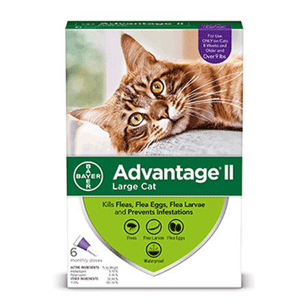 Advantage II Flea Prevention for Large Cats, 6 Monthly (Best Flea Treatment For Yorkies)