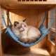 thumbnail image 4 of Cama Refrescante para Gatos En Verano: Hamaca para Mascotas Ideal para Climas Cálidos, Alfombrilla Refrescante Portátil y Lavable para Jaula, Viajes Al Aire Libre y Uso En Interiores., 4 of 6