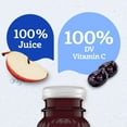 thumbnail image 5 of (4 pack) Gerber Fruit Juice, Apple Prune, 4 fl oz Bottle (6 Pack), 5 of 17