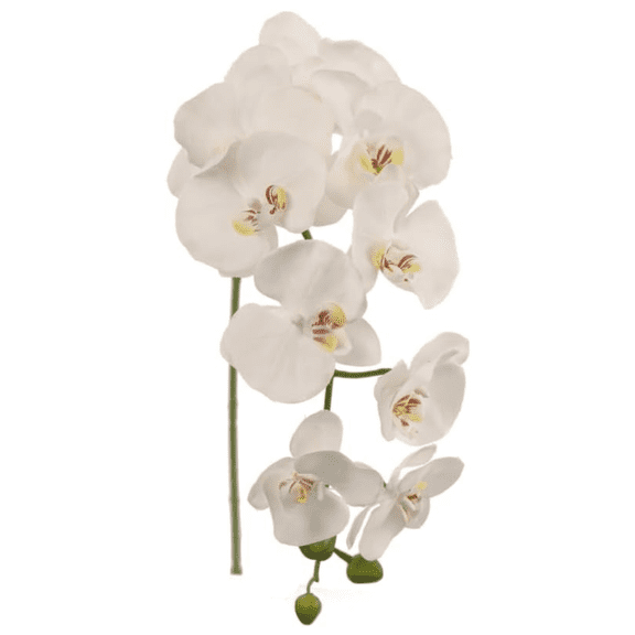 2PC 34-Inch Phalaenopsis Orchid Stem – Artificial Long Stem Faux Flower for Home, Wedding & Event Décor