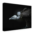 thumbnail image 4 of KaMerA 'Targeted' Canvas Art, 4 of 4