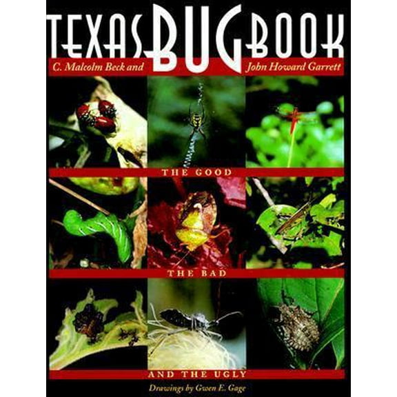 Pre-Owned Texas Bug Book: The Good, the Bad, and the Ugly (Paperback) 0292708696 9780292708693
