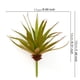 thumbnail image 5 of Bearachild Flores artificiales de plástico de plantas suculentas simuladas duraderas para una belleza duradera y decoraciones suculentas Decoración Hoja de espada grande Otoño, 5 of 6