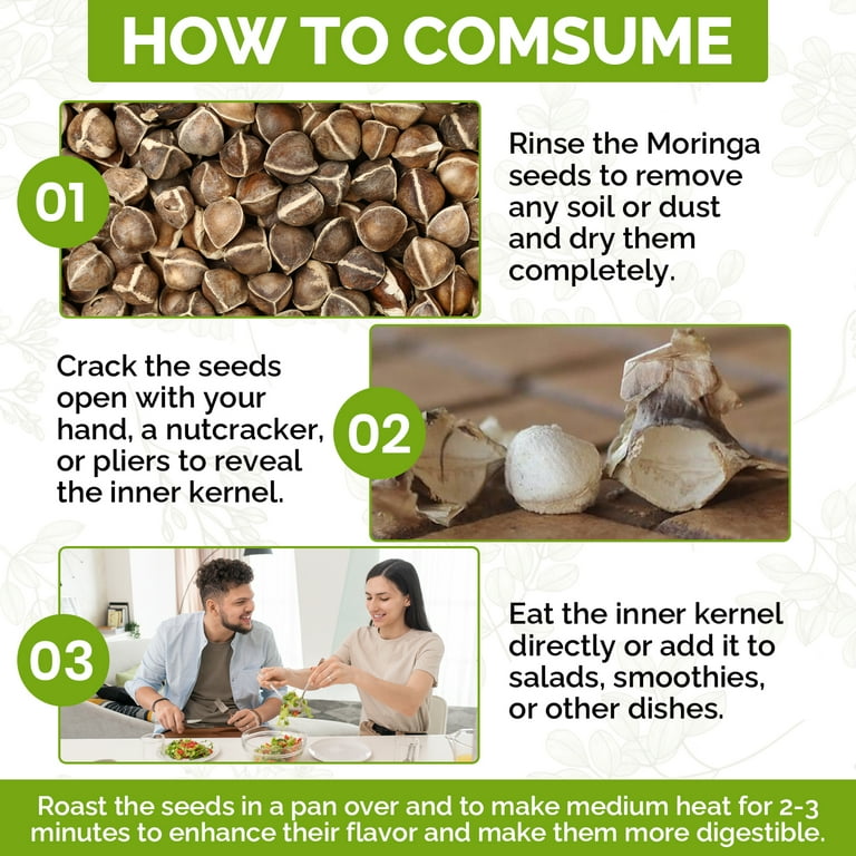 can you take moringa with semaglutide Moringa Seeds 1000 Count - 95% Germination Rate - Pkm1 Variety